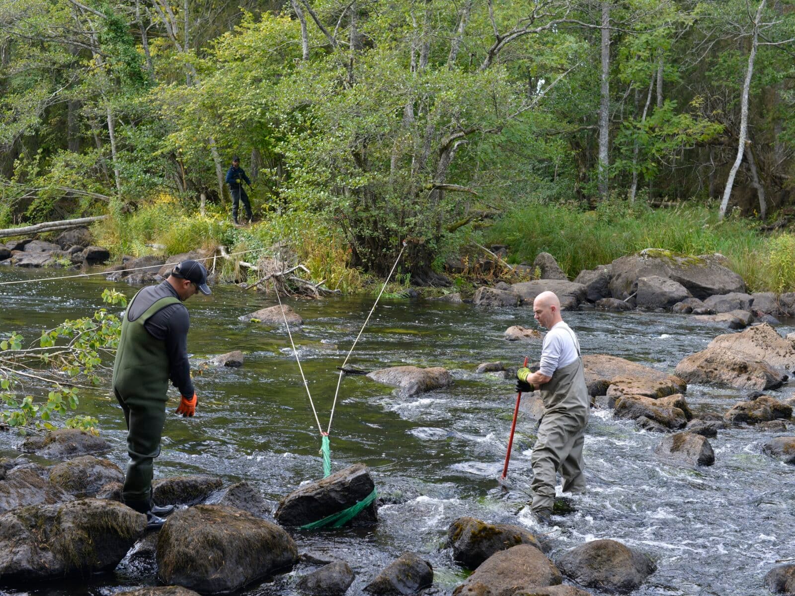 miljöfond, miljöfondsprojekt, länstyrelsen, kalmar, emån, elenergi, fiskväg, vandringshinder, ...