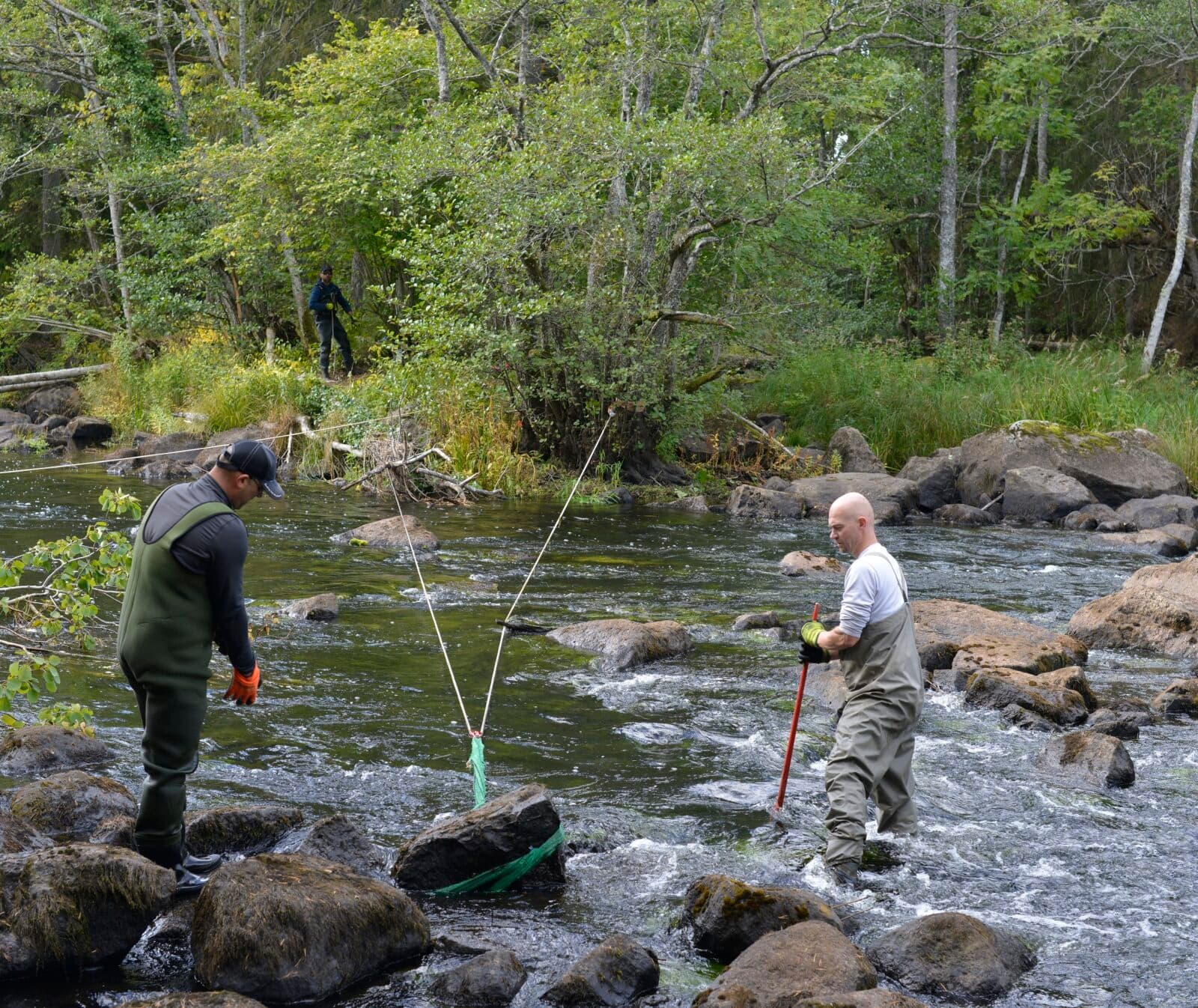 miljöfond, miljöfondsprojekt, länstyrelsen, kalmar, emån, elenergi, fiskväg, vandringshinder, ...