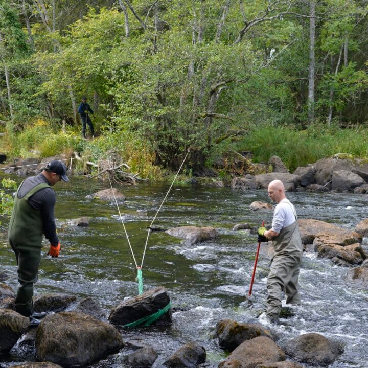miljöfond, miljöfondsprojekt, länstyrelsen, kalmar, emån, elenergi, fiskväg, vandringshinder, ...