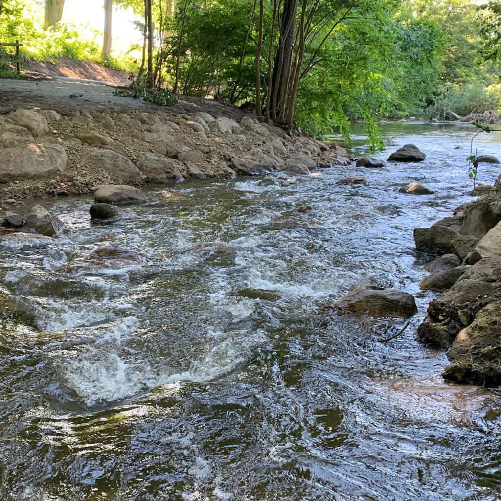 Miljöfondsprojekt. Nytt omlöp och biotopsvård i Rinnebäck damm för att fler fiskarter ska hitta ...