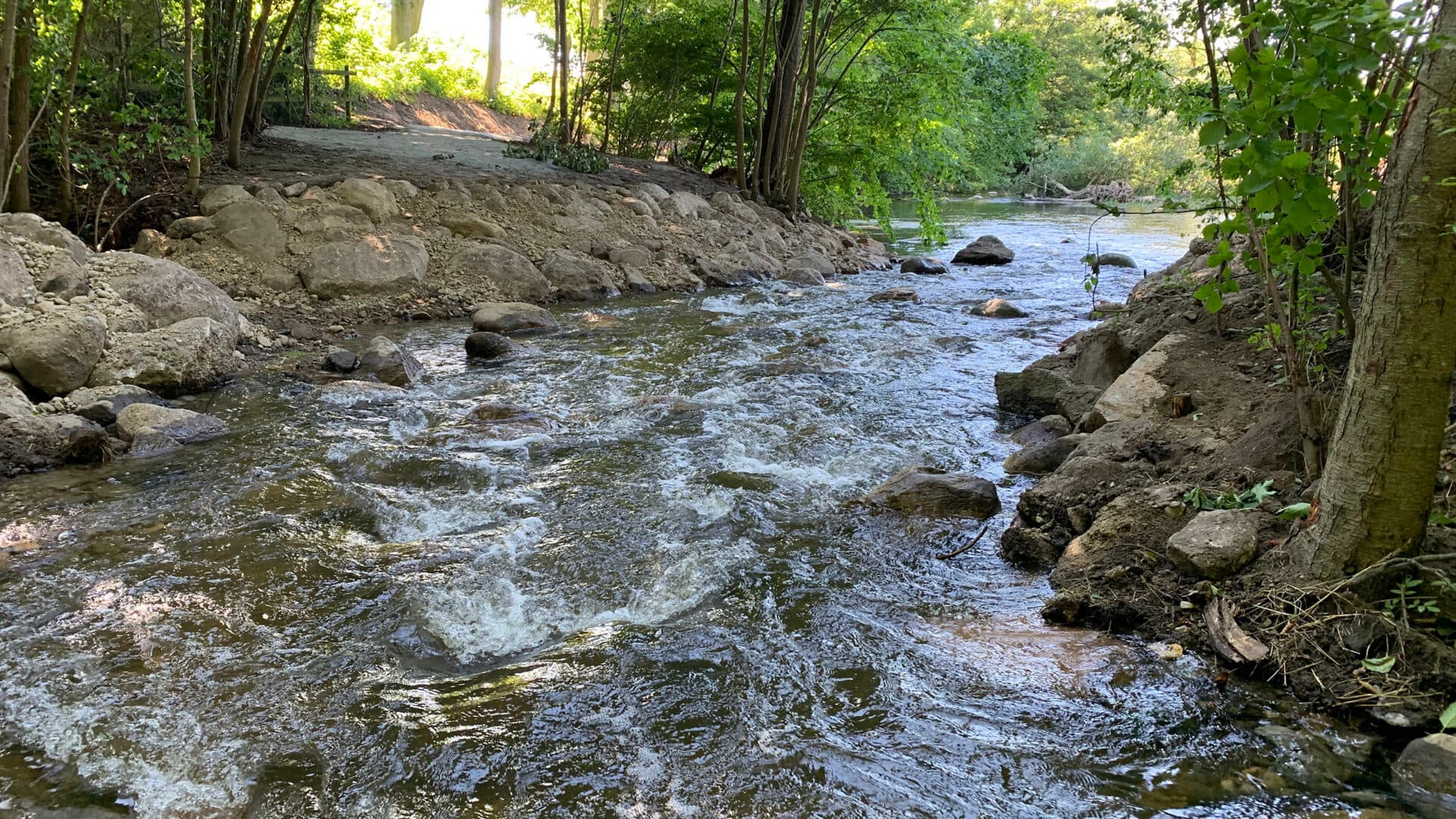 Miljöfondsprojekt. Nytt omlöp och biotopsvård i Rinnebäck damm för att fler fiskarter ska hitta ...