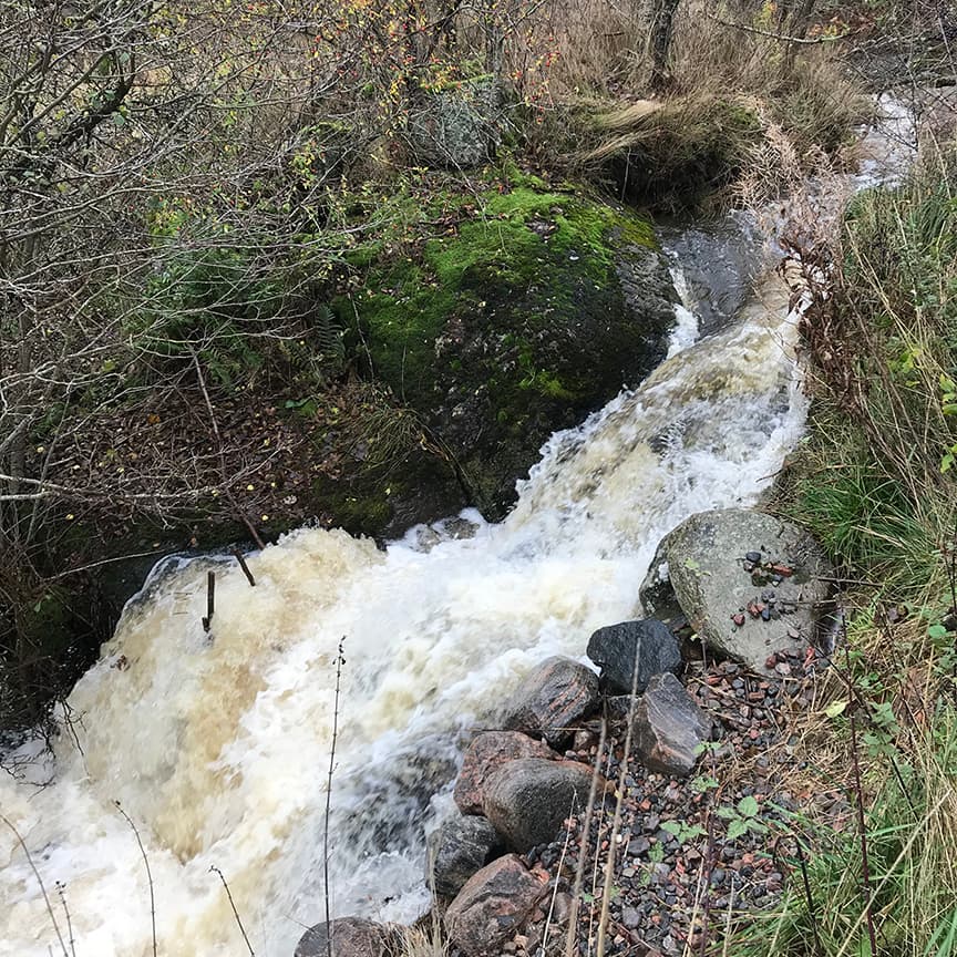 Hagaån före åtgärd 8+ fjordar