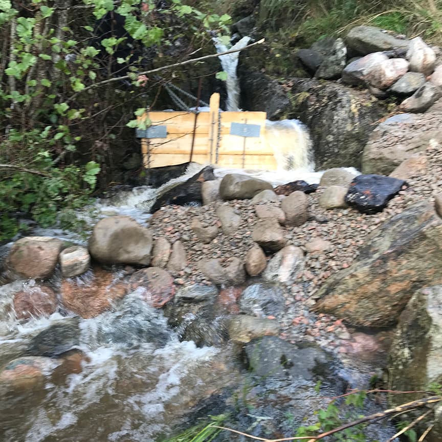 Hagaån före åtgärd 8+ fjordar