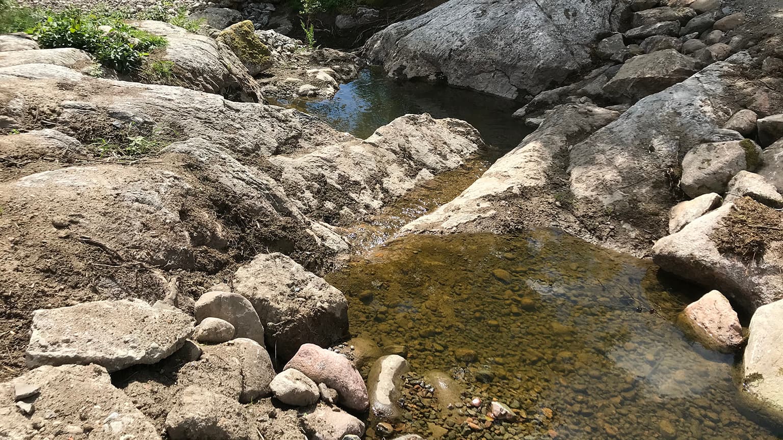 Hagaån efter åtgärd 8+ fjordar