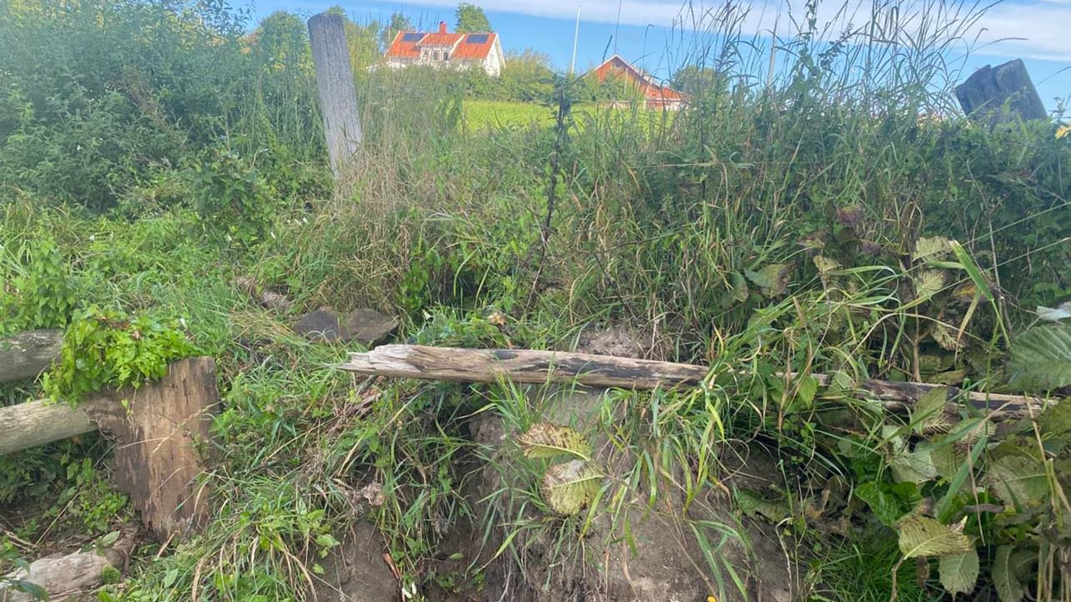 Varekilsån före åtgärd 8+ fjordar