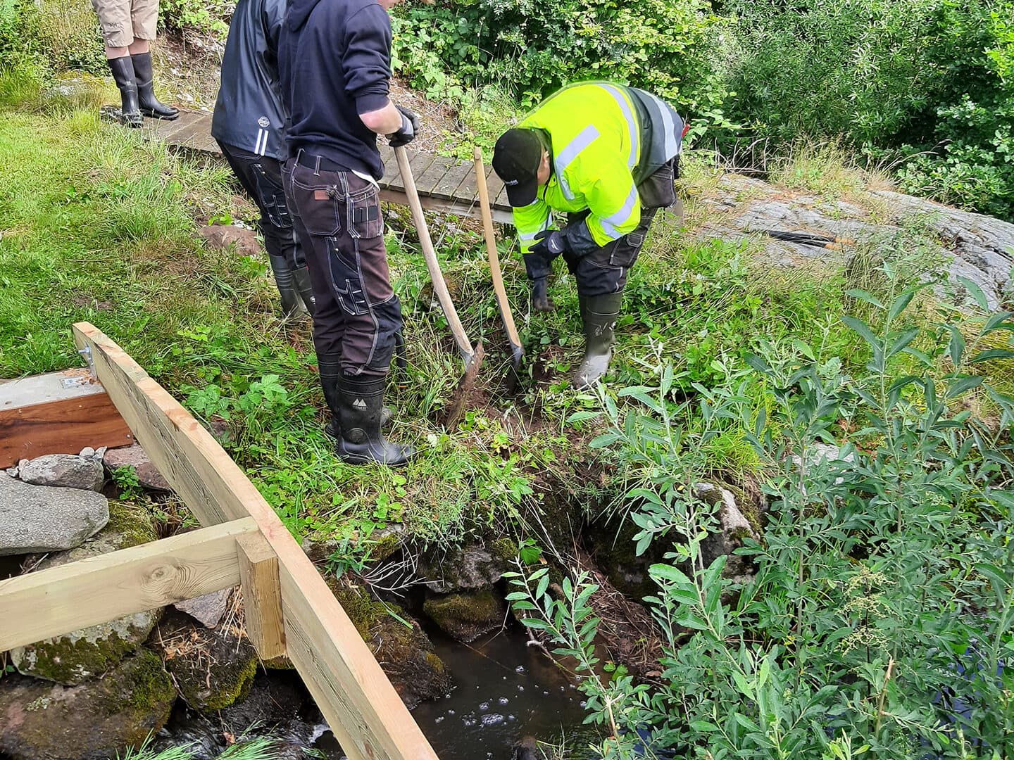 Strane å före åtgärd 8+ fjordar