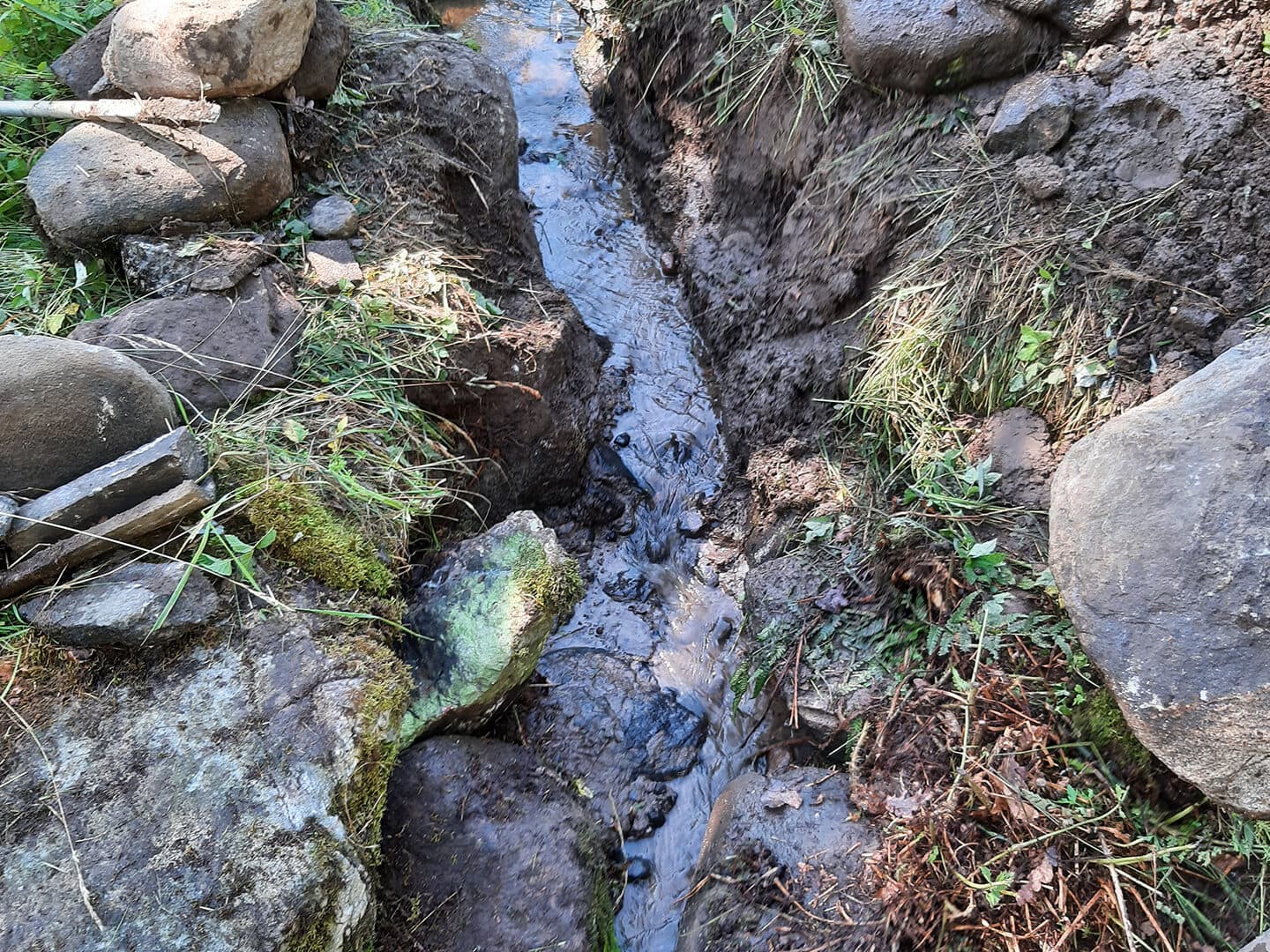 Strane å efter åtgärd 8+ fjordar