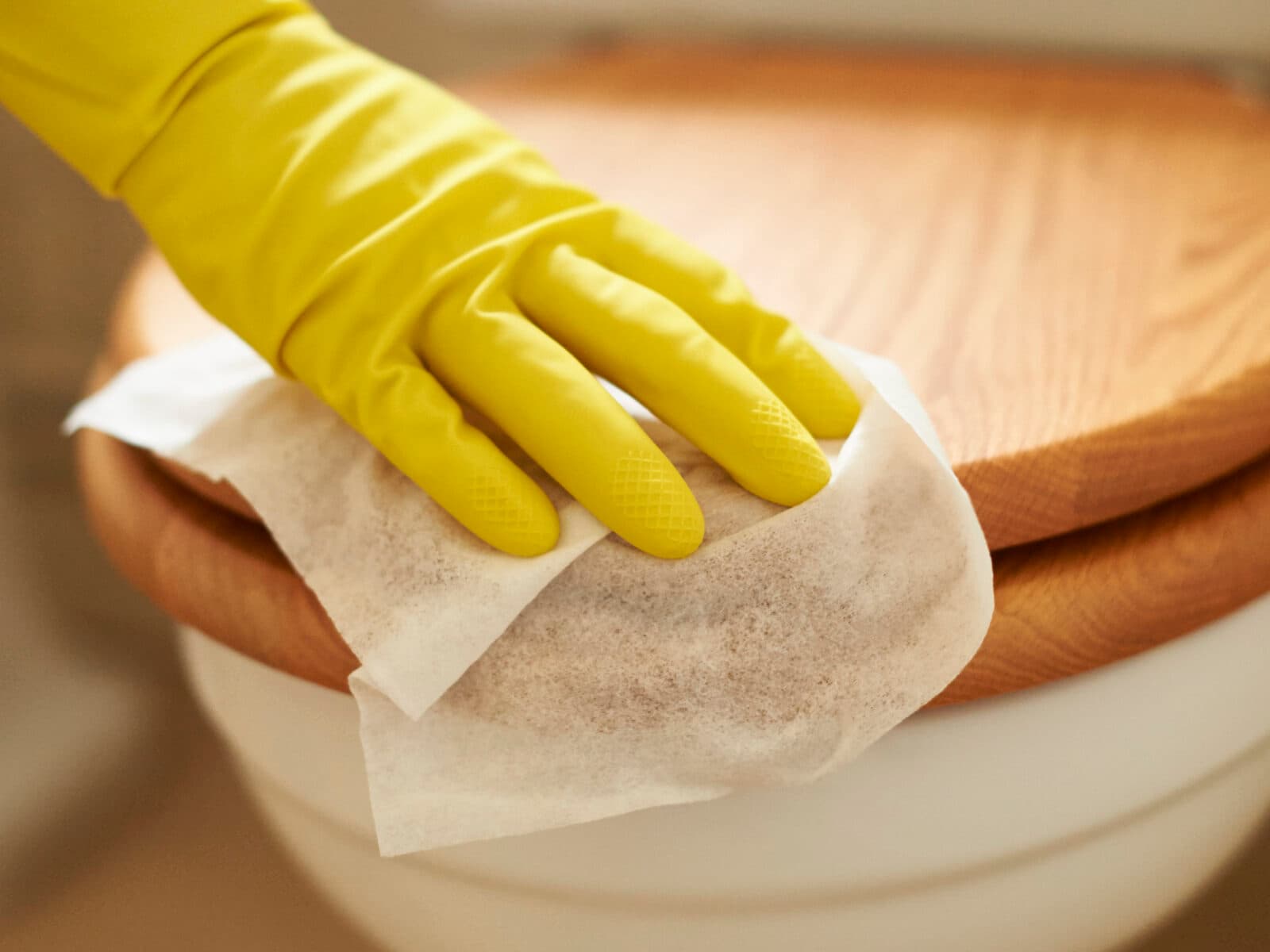 Krav på plastfria våtservetter