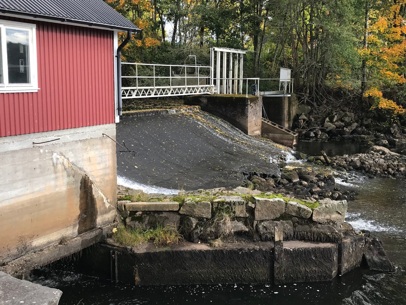 Hinder som är grunden för omlöpet.