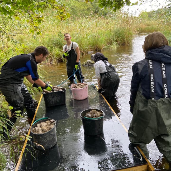 Gymnasieelever restaurerar hotade vattendrag.