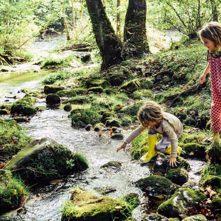 Miljömärkning och juridisk trygghet – hur ökar vi hållbarheten i offentlig upphandling?