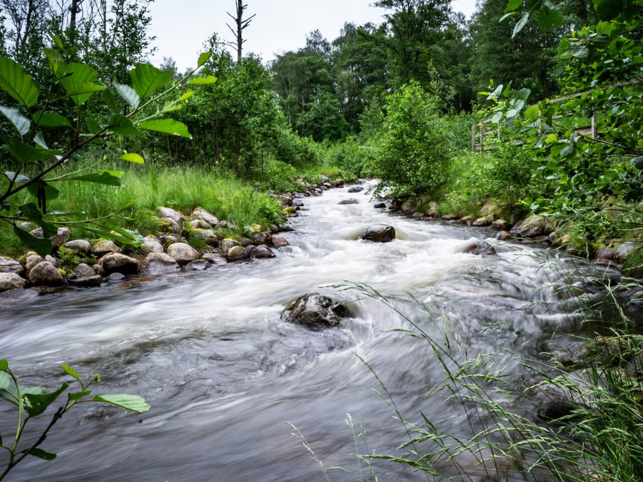 Hedefors vattendrag, fondprojekt Bra Miljöval