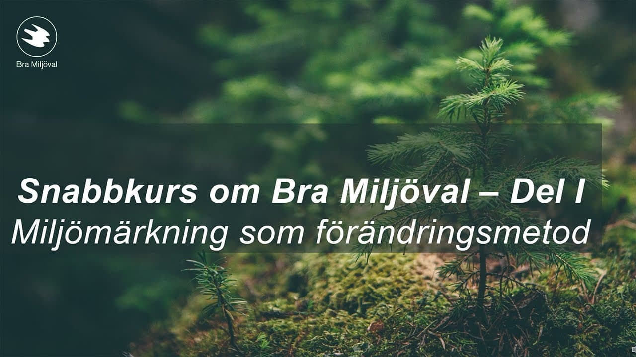 Bild från youtube-video