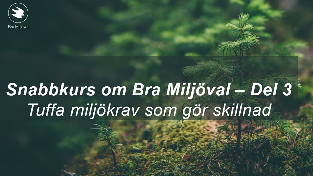 Bild från youtube-video