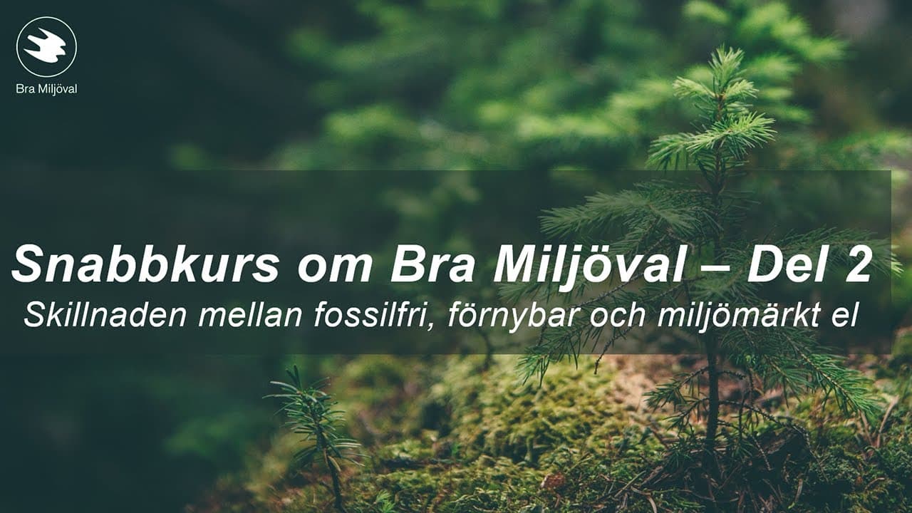 Bild från youtube-video