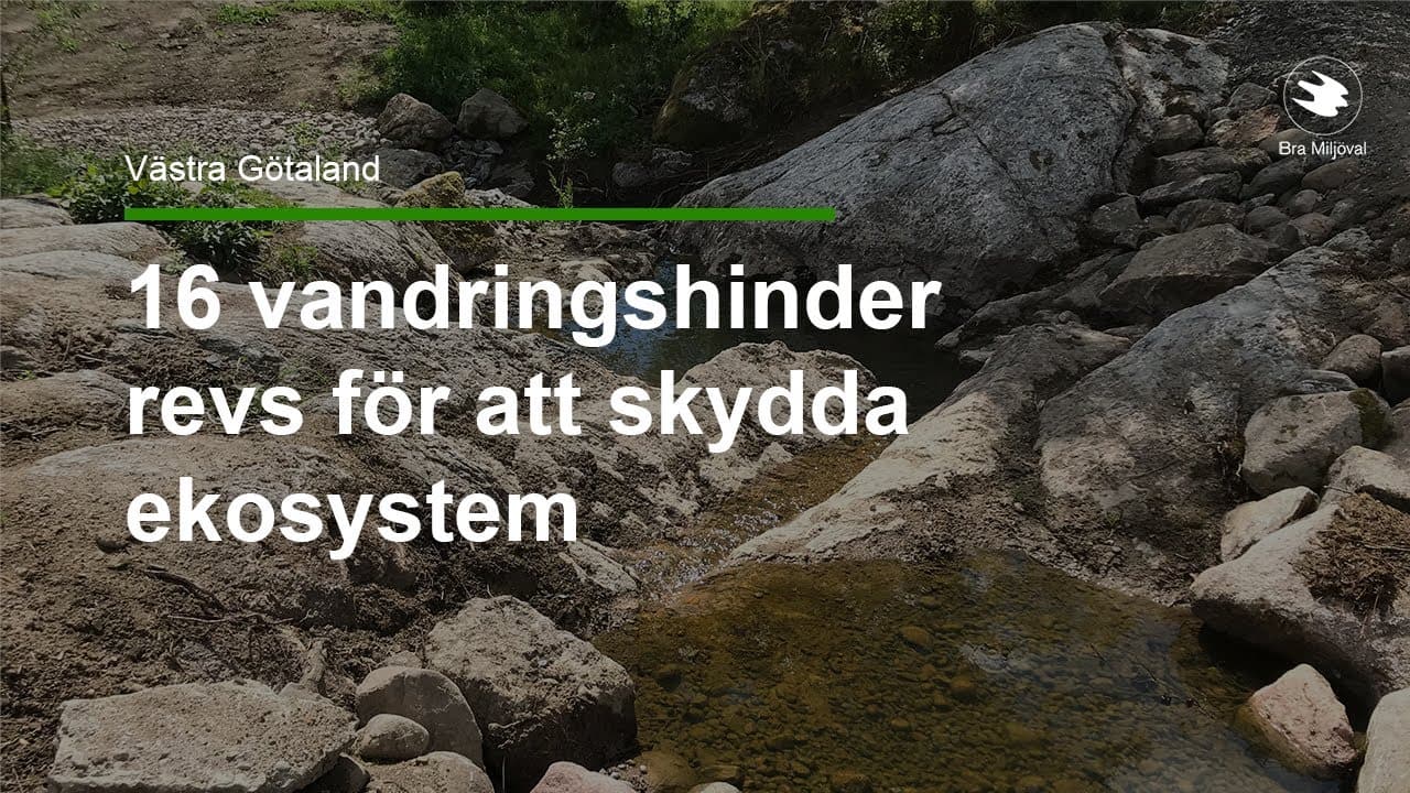 Bild från youtube-video