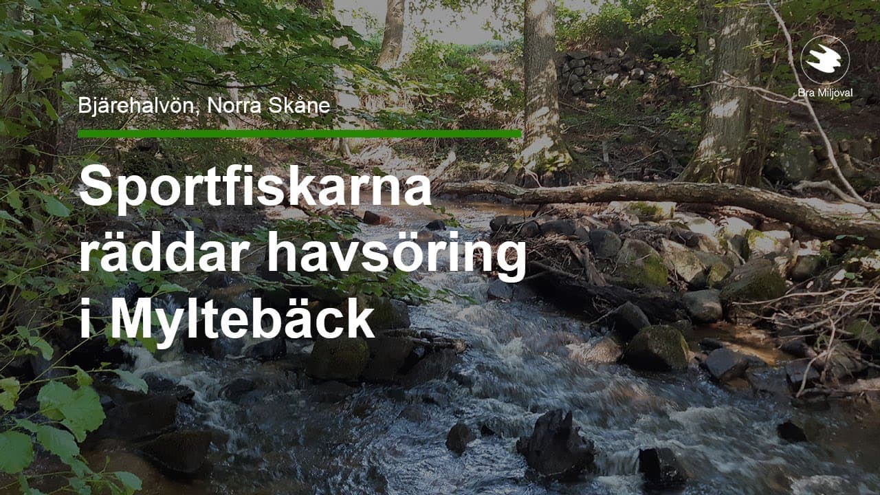 Bild från youtube-video