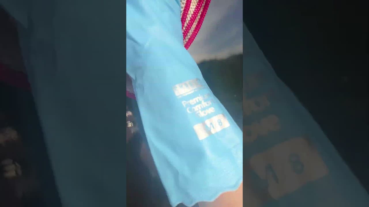 Bild från youtube-video