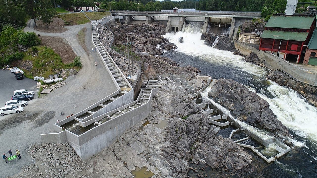 Bild från youtube-video