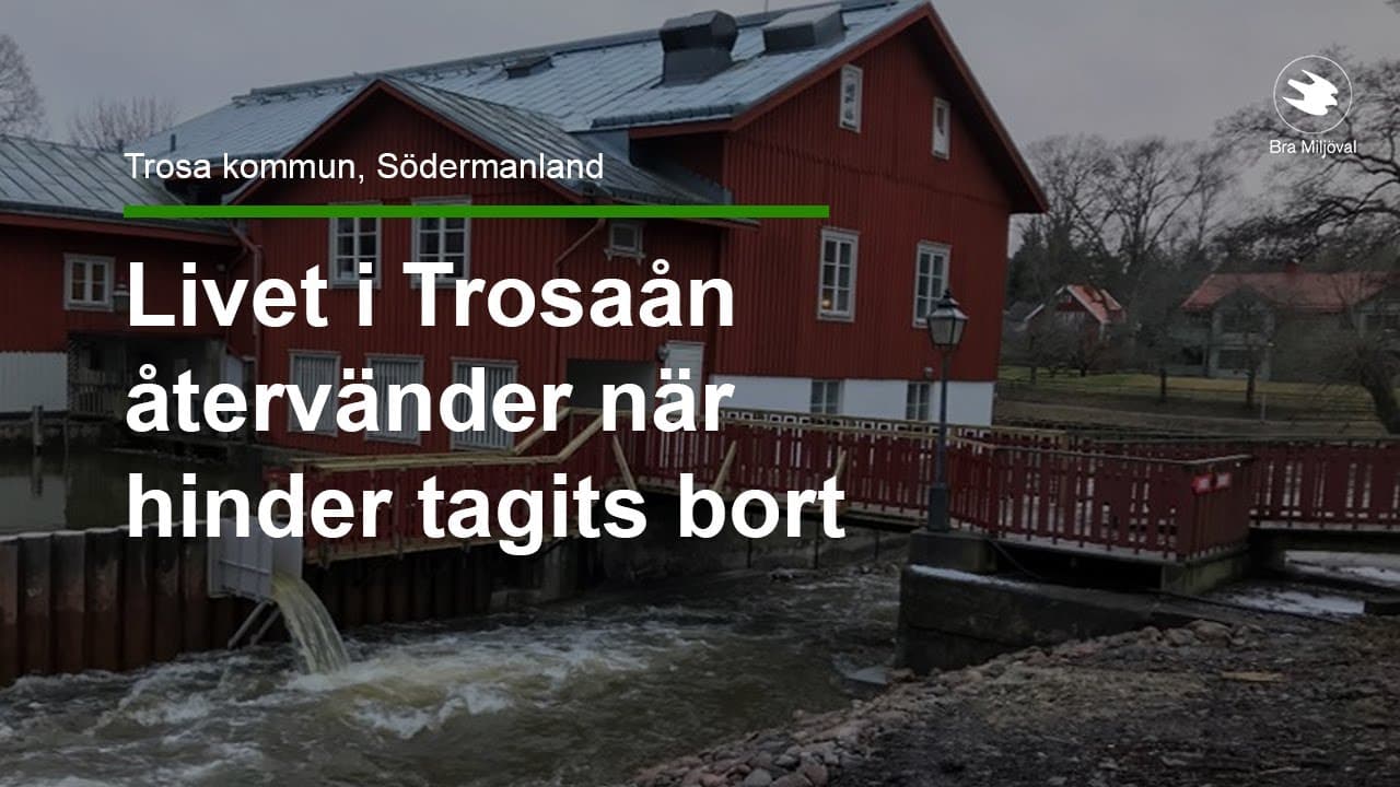 Bild från youtube-video