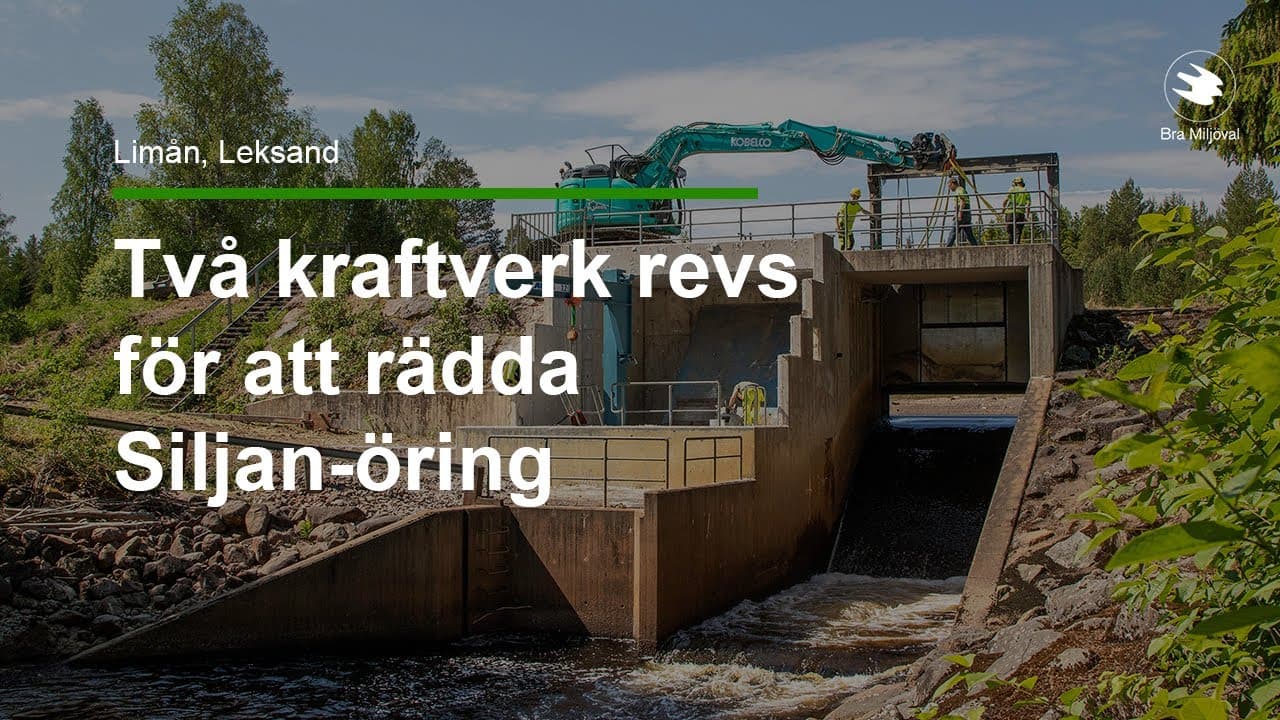 Bild från youtube-video