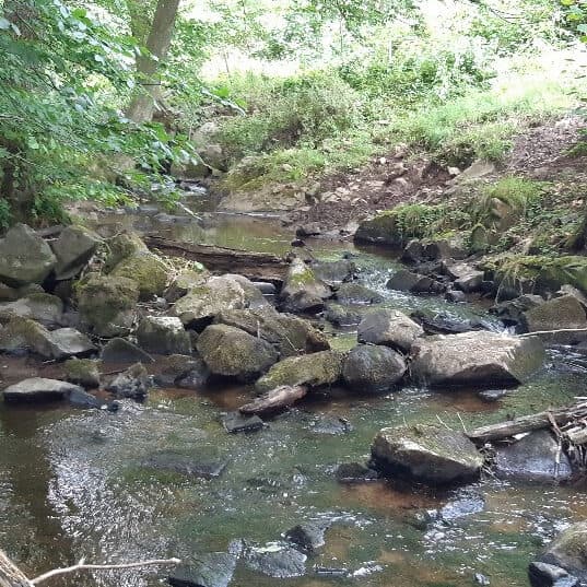 Miljöfondsprojekt: Biotopvård i Myltebäck, före åtgärd vandringshinder